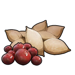 Berry Seeds
