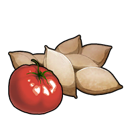 Tomato Seeds
