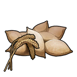 Wheat Seeds