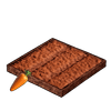 Carrot Plantation