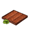 Lettuce Plantation