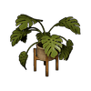 Houseplant